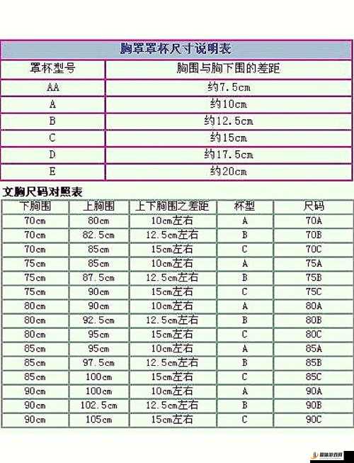 亚洲尺码和欧洲尺码区别大全详细解读及对比分析